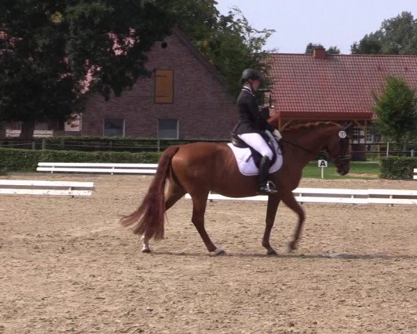 Reitturnier Ochtrup 2020
