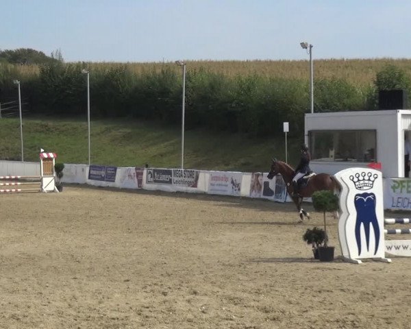 Reitturnier Leichlingen-Witzhelden 2020