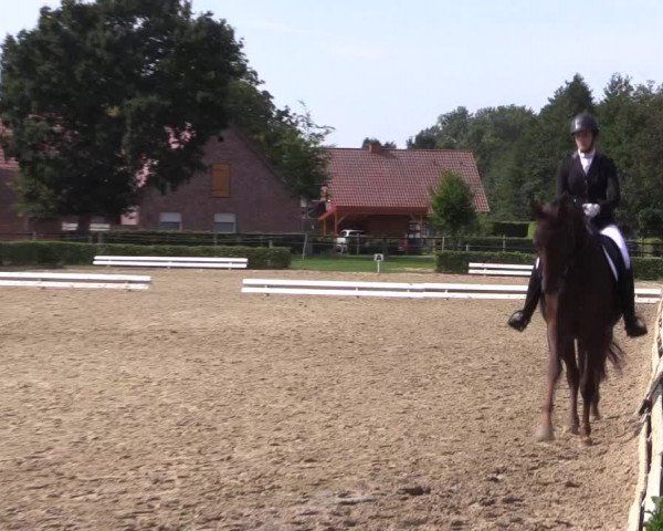 Reitturnier Ochtrup 2020