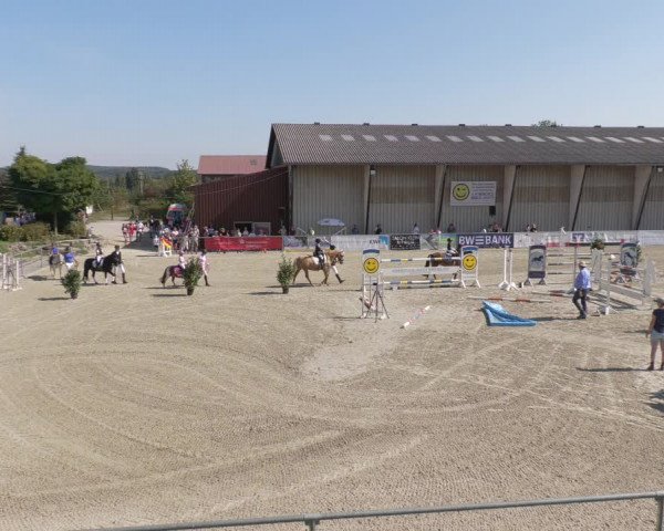 Reitturnier Ehningen 2020