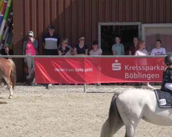 Reitturnier Ehningen 2020