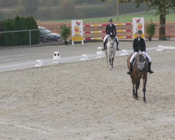 Reitturnier Ehningen 2020
