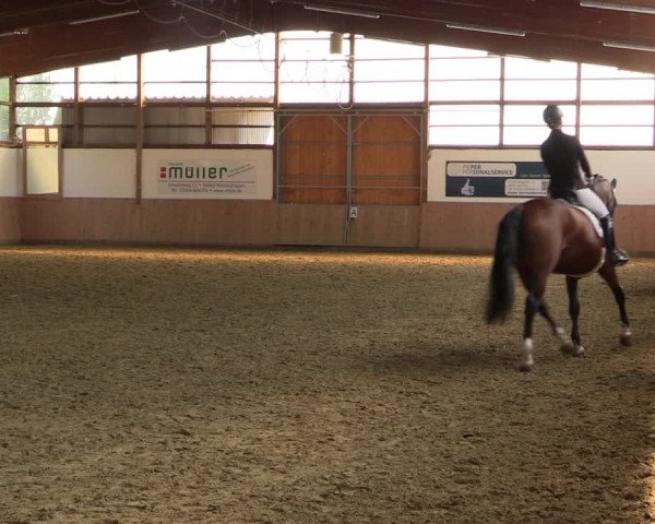 Reitturnier Meinerzhagen 2020