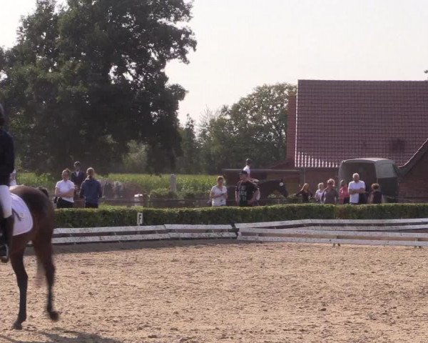 Reitturnier Ochtrup 2020