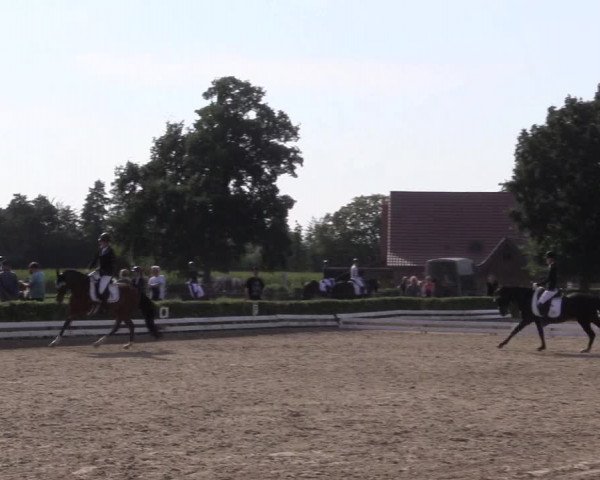Reitturnier Ochtrup 2020