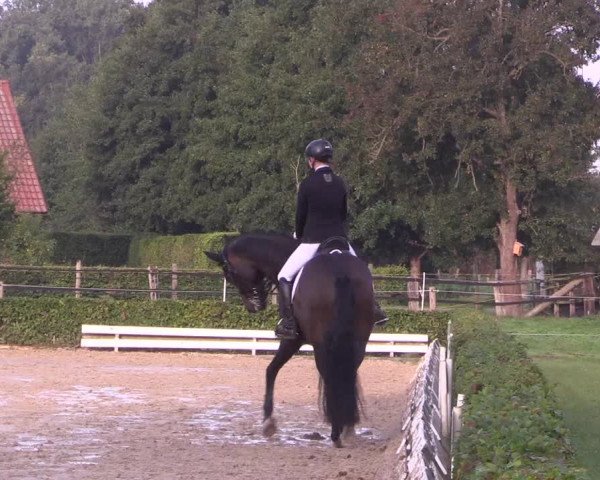 Reitturnier Ochtrup 2020