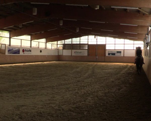 Reitturnier Meinerzhagen 2020