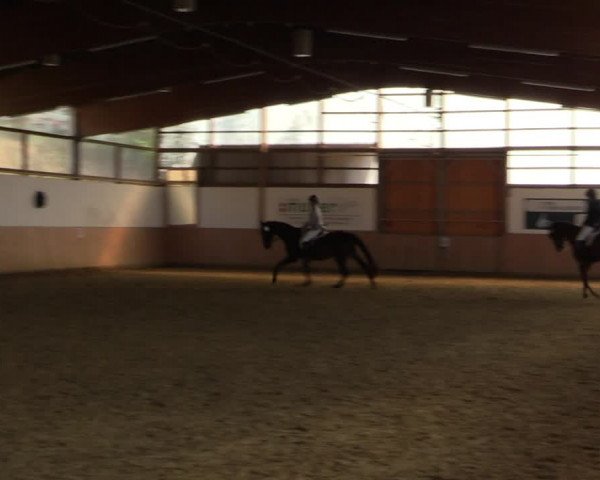 Reitturnier Meinerzhagen 2020