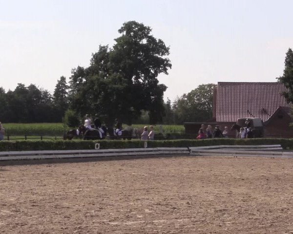 Reitturnier Ochtrup 2020