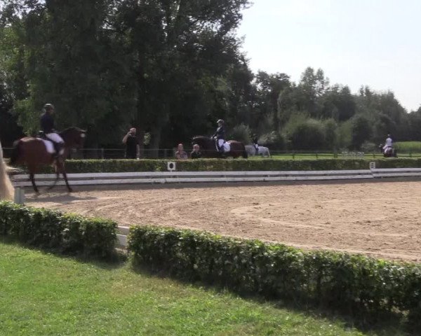 Reitturnier Ochtrup 2020