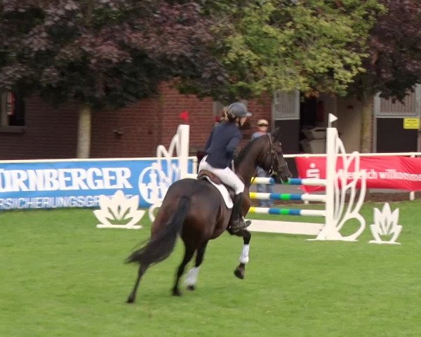 Reitturnier Münchehofe 2020