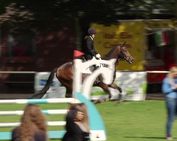 Reitturnier Münchehofe 2020