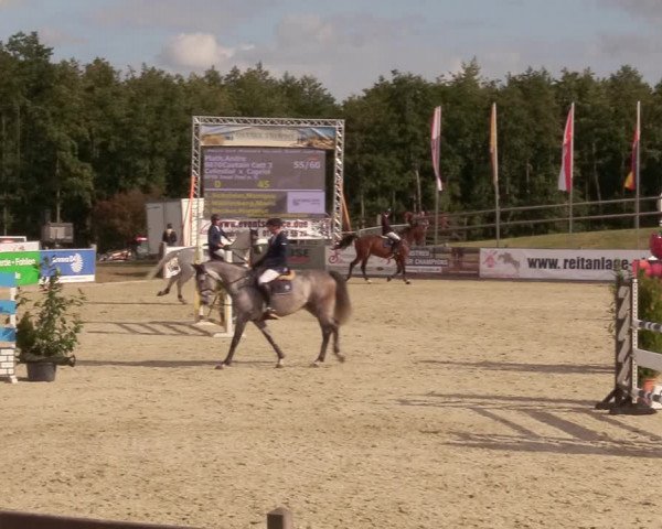 Reitturnier Redentin/Krusenhagen 2020