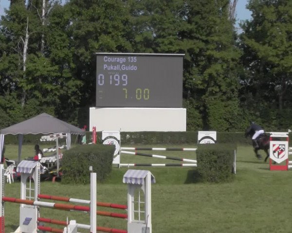 Reitturnier Westeregeln 2020