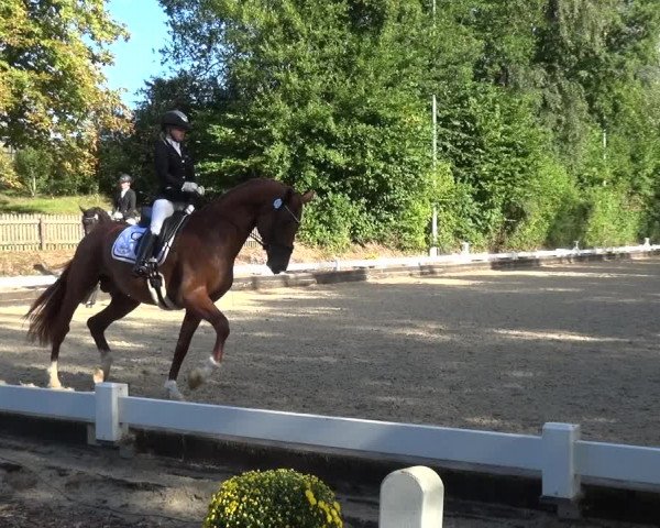 Reitturnier Mettmann - Reitanlage Löckenhoff 2020