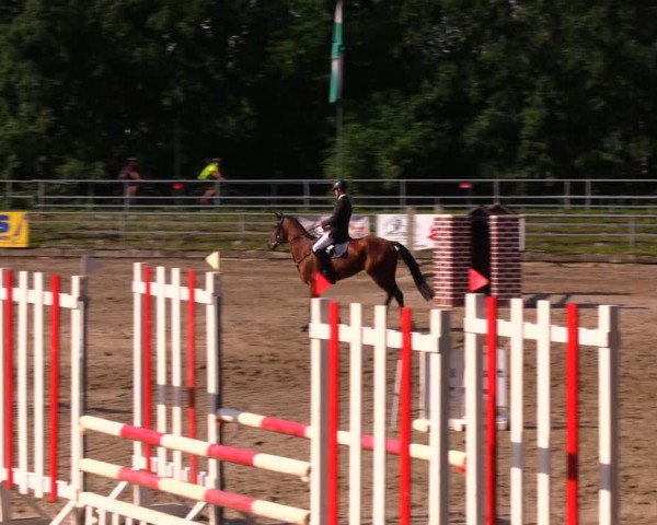 Reitturnier Lgl.-Oberhain, B95 2020
