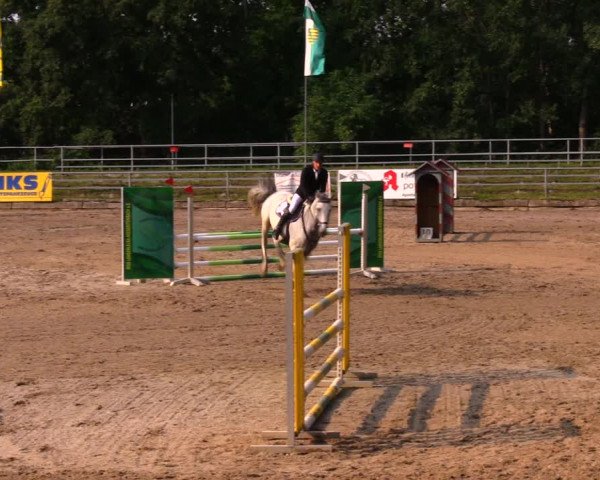 Reitturnier Lgl.-Oberhain, B95 2020
