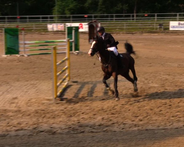 Reitturnier Lgl.-Oberhain, B95 2020