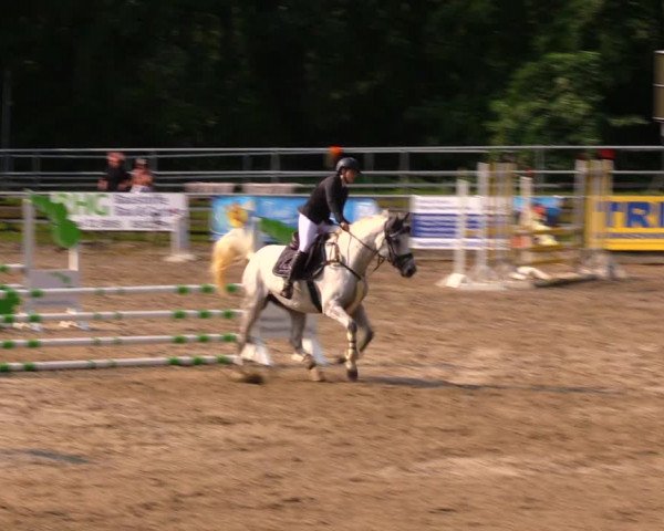 Reitturnier Lgl.-Oberhain, B95 2020
