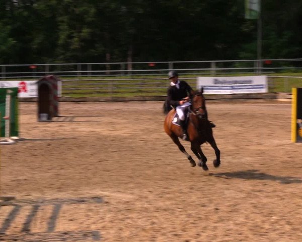 Reitturnier Lgl.-Oberhain, B95 2020