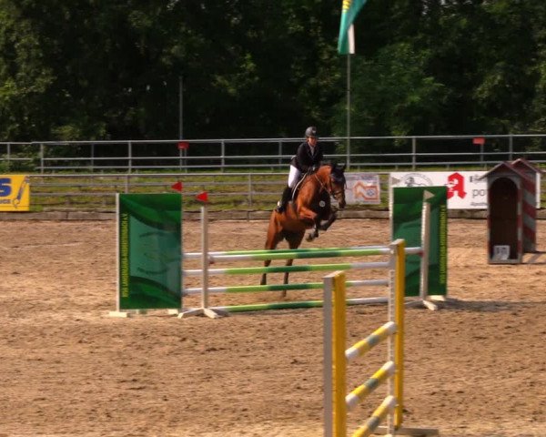 Reitturnier Lgl.-Oberhain, B95 2020