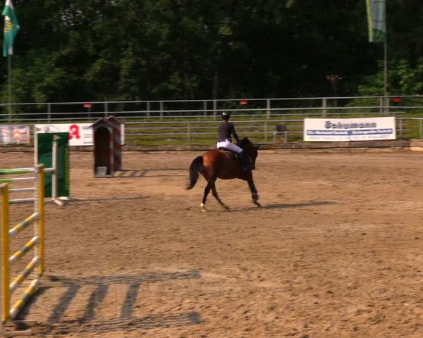 Reitturnier Lgl.-Oberhain, B95 2020