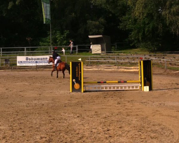Reitturnier Lgl.-Oberhain, B95 2020