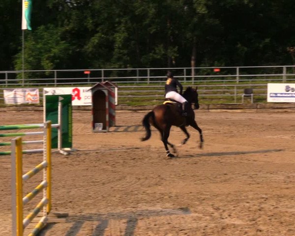 Reitturnier Lgl.-Oberhain, B95 2020