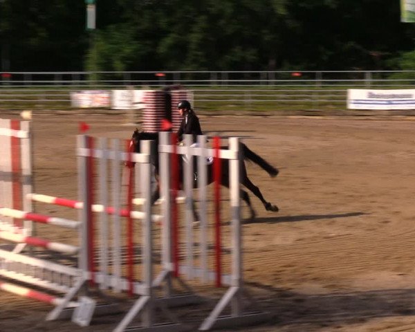 Reitturnier Lgl.-Oberhain, B95 2020