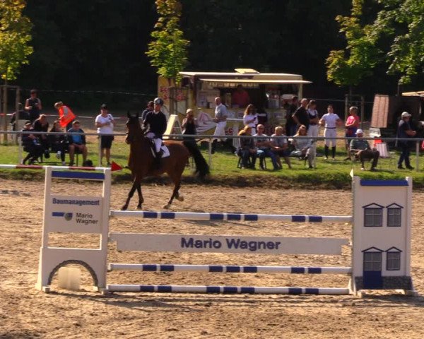 Reitturnier Lgl.-Oberhain, B95 2020