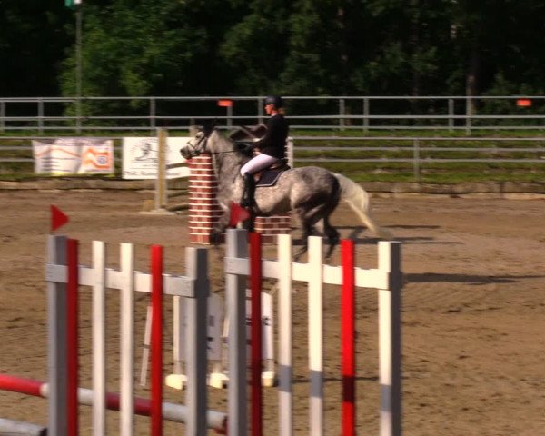 Reitturnier Lgl.-Oberhain, B95 2020