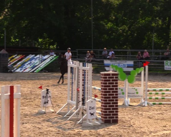 Reitturnier Lgl.-Oberhain, B95 2020