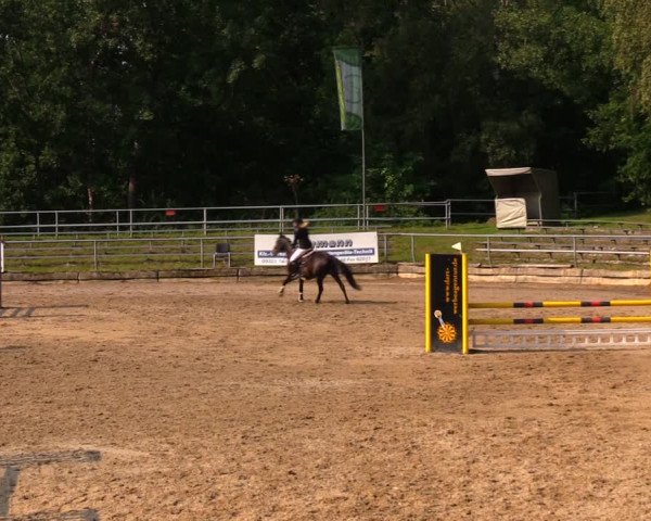 Reitturnier Lgl.-Oberhain, B95 2020