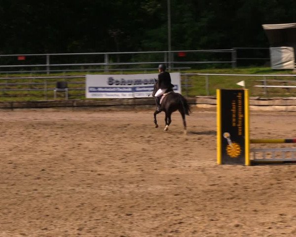 Reitturnier Lgl.-Oberhain, B95 2020