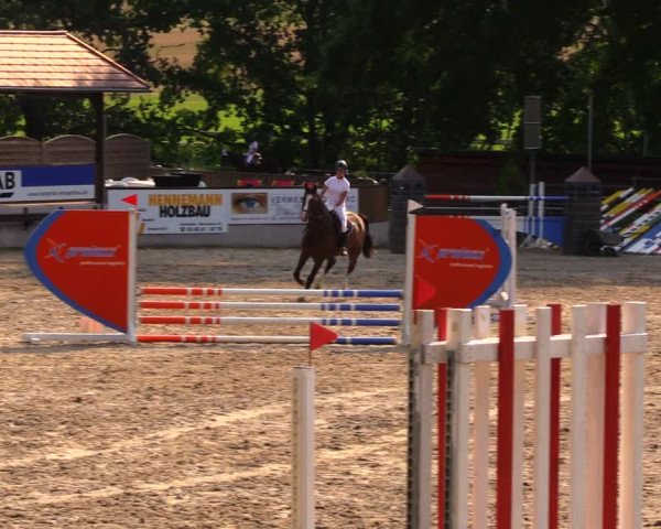 Reitturnier Lgl.-Oberhain, B95 2020