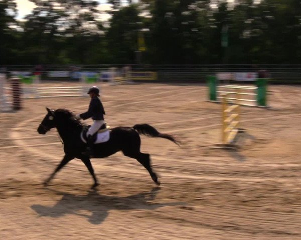 Reitturnier Lgl.-Oberhain, B95 2020