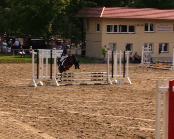 Reitturnier Lgl.-Oberhain, B95 2020