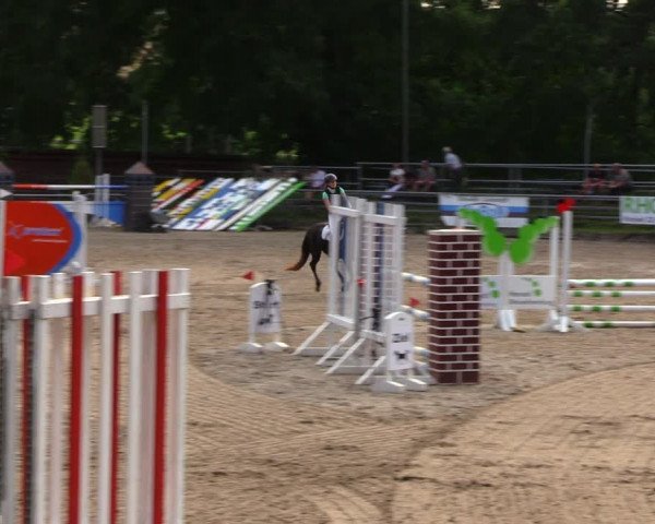 Reitturnier Lgl.-Oberhain, B95 2020