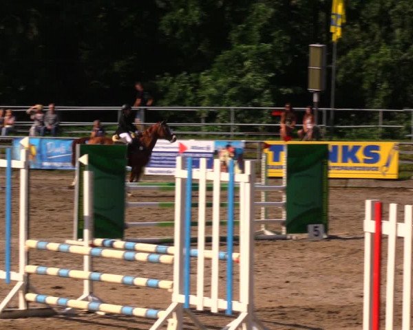 Reitturnier Lgl.-Oberhain, B95 2020