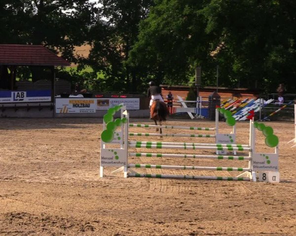 Reitturnier Lgl.-Oberhain, B95 2020