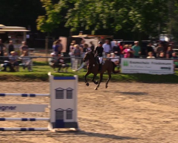 Reitturnier Lgl.-Oberhain, B95 2020