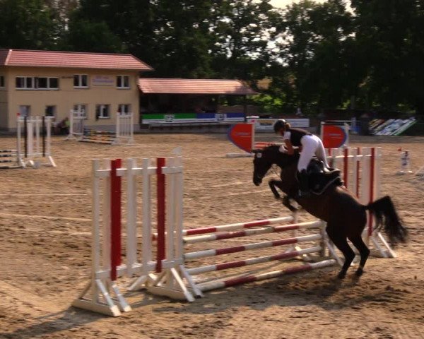 Reitturnier Lgl.-Oberhain, B95 2020