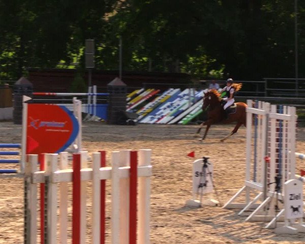Reitturnier Lgl.-Oberhain, B95 2020