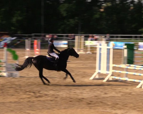Reitturnier Lgl.-Oberhain, B95 2020