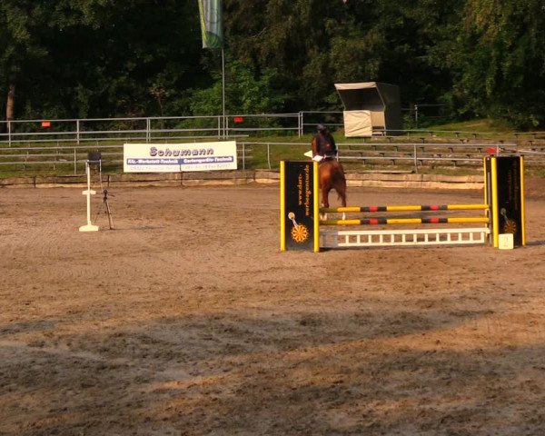 Reitturnier Lgl.-Oberhain, B95 2020