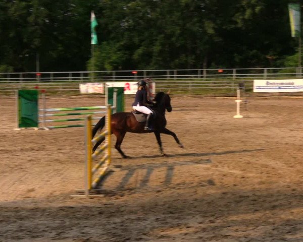Reitturnier Lgl.-Oberhain, B95 2020