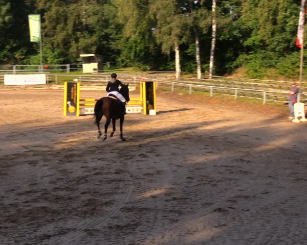 Reitturnier Lgl.-Oberhain, B95 2020