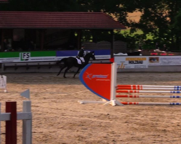 Reitturnier Lgl.-Oberhain, B95 2020