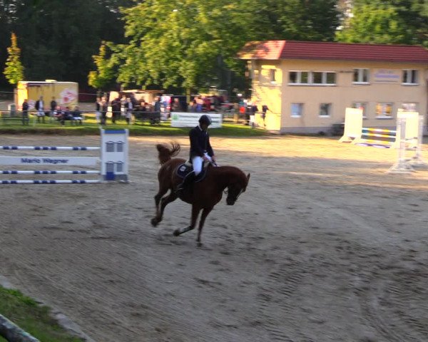 Reitturnier Lgl.-Oberhain, B95 2020