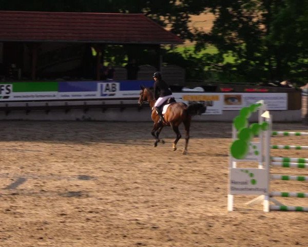 Reitturnier Lgl.-Oberhain, B95 2020